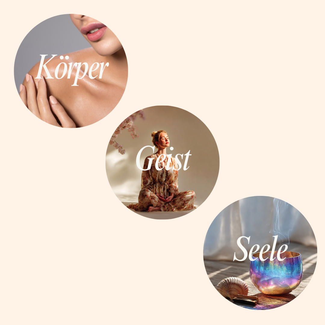 Lymph- und Nervensystem Bundle